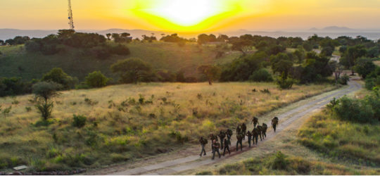 All Africa: Singita Grumeti Anti-Poaching Crusade Pays Off