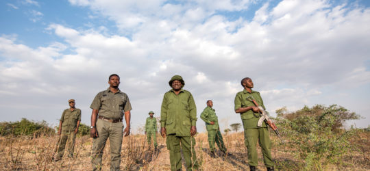 Safeguarding the Livelihoods of People and Wildlife