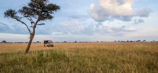 Singita Launches First of Its Kind Privately Guided Conservation Focused Safari