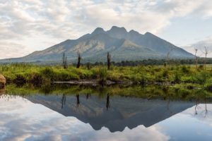 Rwanda Project - Volcanoes National Park