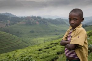Rwanda Project - Volcanoes National Park