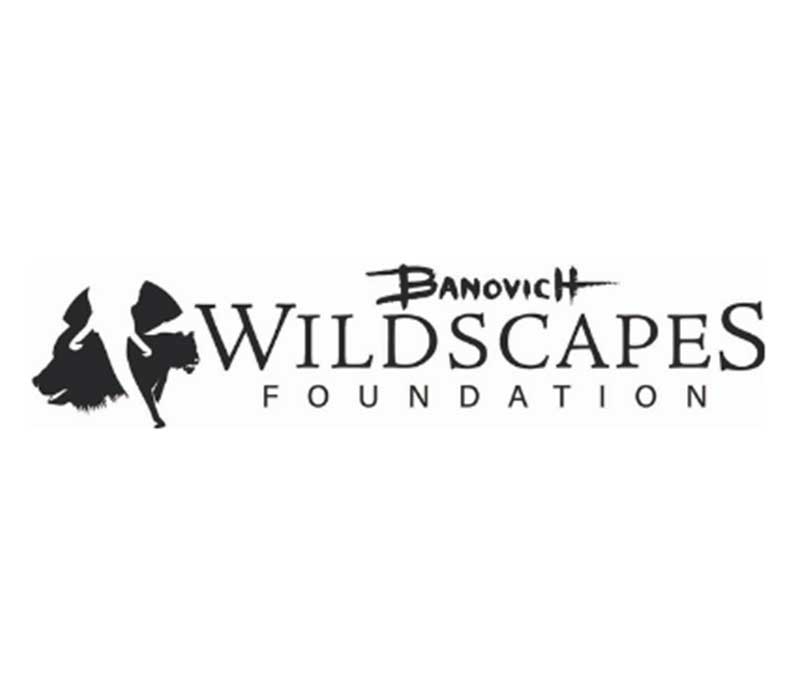 Banovish Wildscapes