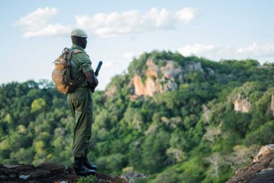 Ranger monitoring protected area