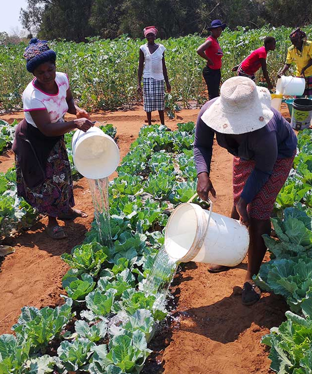 Biodiversity and collaborative site management.