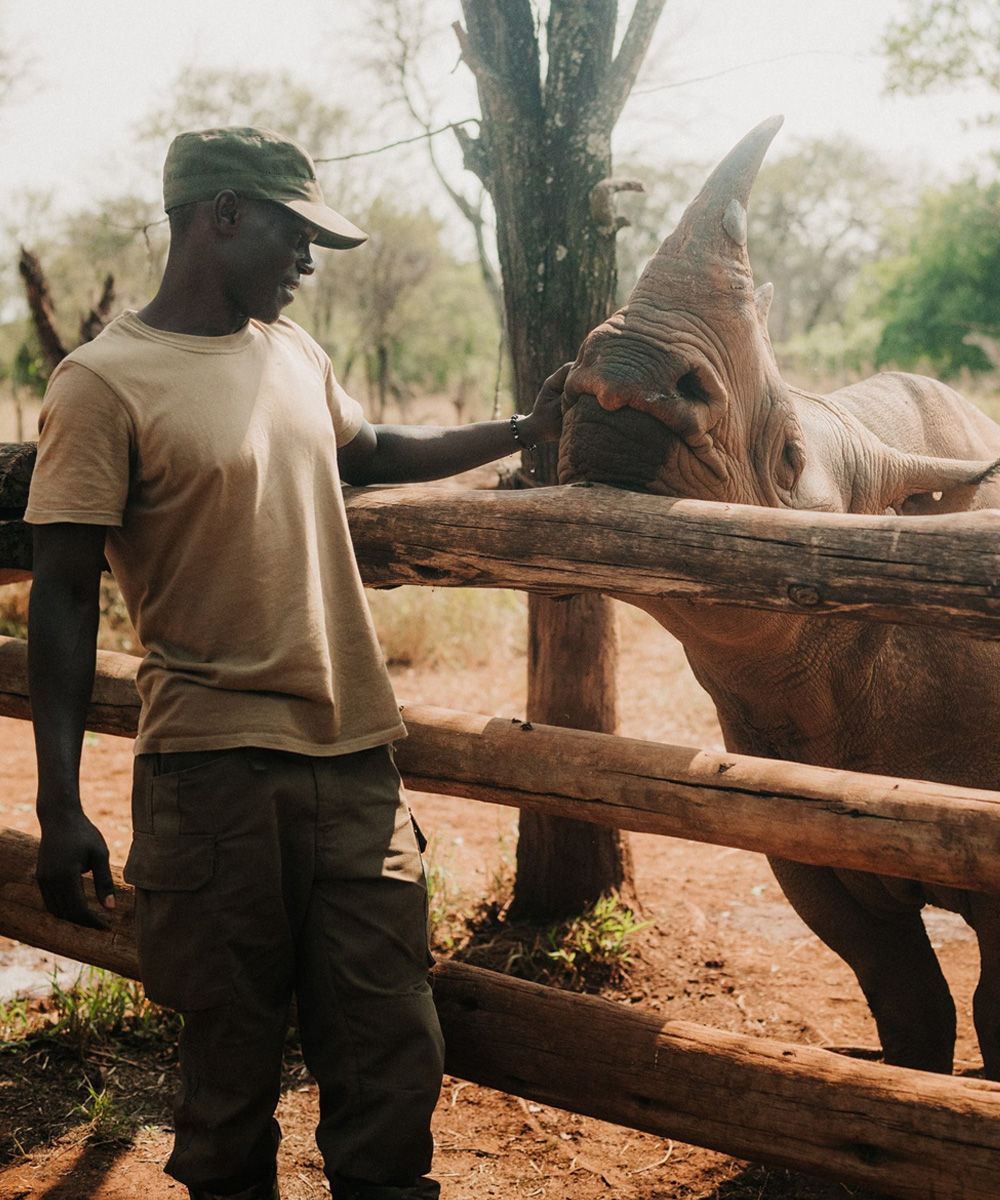 A black rhino and a ranger connecting.